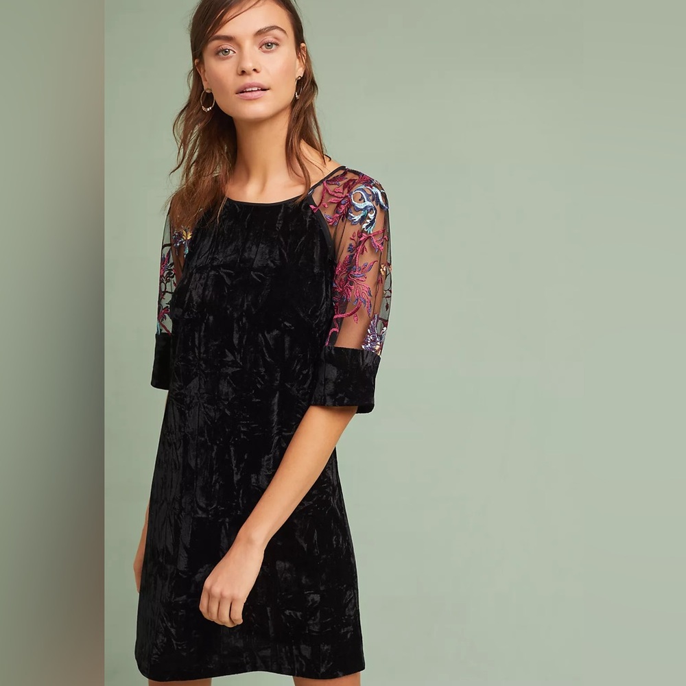 Anthropologie embroidered mesh three-quarter length sleeve, crushed velvet dress